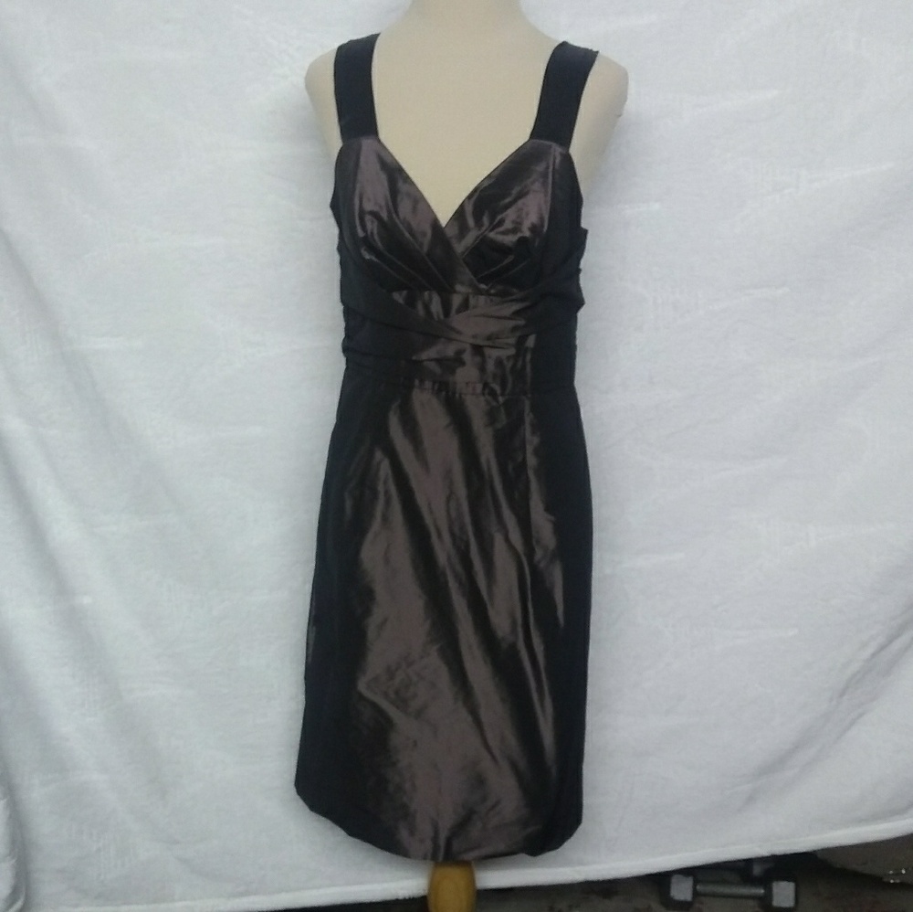 Banana Republic Sleeveless Dress.